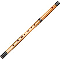 51Vj-2VfhYL._AC_UL210_SR210,