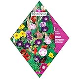 [つる性植物のミックス 春まき 花タネ][フランス花の種]クライミングフラワーガーデンミックス 1袋 ノーブランド品