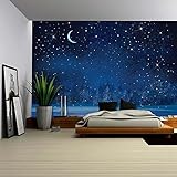 wall26 Wall Muralシリーズ 自己接着式壁紙 大型 66"x96" WMR-WP-X-C648-66x24x4