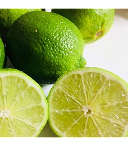 フレーバーグリーン1本、ライムクワット1本 フレーバーグリーン1本、ライムクワット1本 フレーバーグリーン