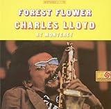 �t�H���X�g�E�t�����[��SHM-CD��