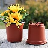 (サンライン)Sun Line プランター 植木鉢 フラワーポット ガーデニング 家庭菜園・ベランダ菜園用 インテリア10個入り