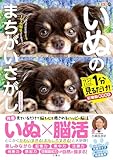 毎日脳活スペシャル　いぬのまちがいさがし　チワワ大集合の巻　ワン！ミニット1分見るだけ！記憶脳瞬間強化