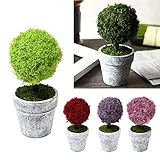 プリザーブドフラワー 苔 インテリア モス(グリーン)