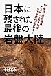 日本に残された最後の岩盤大陸: TV・医師・国会議員　ここにメスが入れば日本が劇的に変わる！