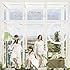 Perfume「Relax In The City / Pick Me Up(完全生産限定盤)」