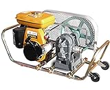 ミナトワークス 大型ギヤーポンプ セット 《停止スイッチ付き》 (32Φ/4馬力エンジン/吸引・送水ホース)