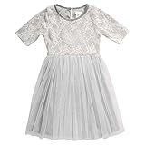 Youngland Little Girls' Short Sleeve Lace to Mesh Dress with Embossed Heart Applique Grey/White 2 [並