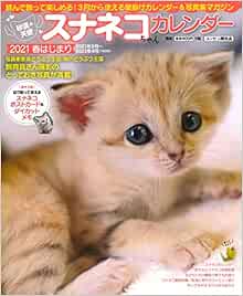 砂漠の天使 スナネコちゃんカレンダー 本 通販 Amazon