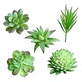 WINOMO 人工多肉植物 グリーン植物 可愛い 枯れない 人工観葉植物 偽のサボテン植物 ホームガーデンオーナメント オフィス 家の装飾　5ピースセット