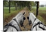 Colin Duttonプレミアムシックラップカンバスウォールアートプリント題名スロベニア、Kras Plateau、Carriage Rides Through the Countryside Ar