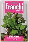 【種子】【FRANCHI社】【16/1】ボリジ