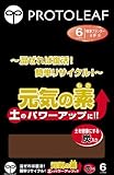 プロトリーフ 元気の素 6L
