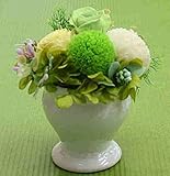 グリーンと白の清楚なピンポンマムプリザ