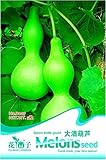 ラゲナリア・シセラニアビッグワインスプーンボトルひょうたんの種、オリジナルパック、5種/パックB007