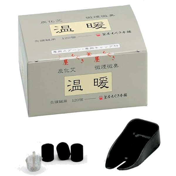 Amazon.co.jp: 温暖(灸頭鍼用もぐさ)炭化艾480入 : ドラッグストア