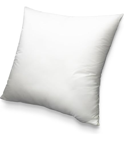 Amazon.co.jp: 蜂屋 HACHIYA ヌードクッション 50×50cm 中身 背当