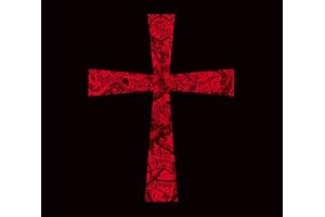 フロム・ザ・ダーク (SHM-CD)