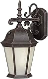 Forte Lighting 17013-01-28 Exterior Wall Light with Frosted Seeded Glass Shades, Painted Rust [並行輸入品