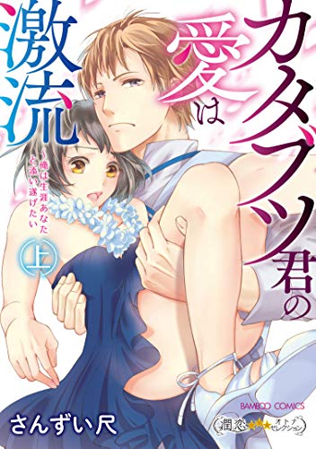 カタブツ君の愛は激流