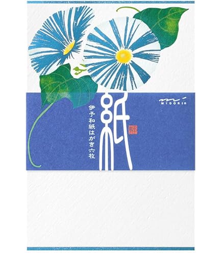 Amazon.co.jp: 、絶版丸山修寛「クスリ絵カード 1」 : 文房具