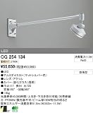 オーデリック エクステリアライト スポットライト 【OG 254 134】 OG254134