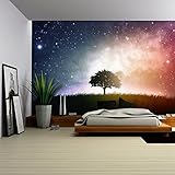 wall26 – 自己粘着壁紙大壁壁画シリーズ 100"x144" WMR-WP-X-C860-100x24x6