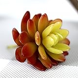 Liebeye 多肉植物 人工 人工観葉植物 造花 真似 マイクロ景観 ミニ景観 家飾り 屋内 シミュレーション 工場の装飾 オフィス飾り インテリア 創造的 DIY おしゃれ レッド