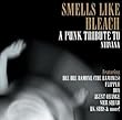 Smells Like Bleach: Tribute to Nirvana
