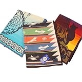 PENDLETON (ペンドルトン)『Muchacho Baby Blankets IIl』 (6.Daught Earth Blanket, ONE SIZE)
