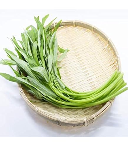 Amazon.co.jp: 新鮮空心菜・Fresh Water Spinach・Rau muống 500g (3