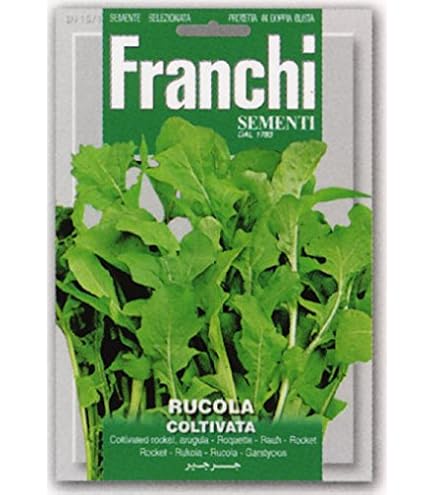 Amazon | 【FRANCHI社種子】【115/3】ルッコラ・COLTIVATA SEL