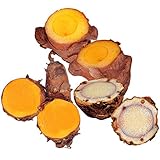 国華園　種芋　ウコン　人気のウコンセット　3種1.5kg【※発送が国華園からの場合のみ正規品です】