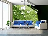wall26  -  粘着壁紙、Lサイズ壁絵シリーズ 100"x144" WMR-WP-X-D454-100x24x6
