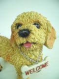プリティウェルカムドック　トイプードル