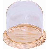 ガラスドーム　ガラスケース　木製台 コレクションケース ガラスドーム ガラスケース 木製台 コレクションケース