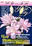 ゴージャスな八重咲百合球根『ローズリリー・アヌースカ』大球×3球
