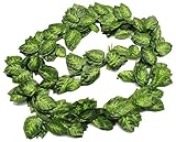 QEES 観葉植物 人工壁掛け 人工藤 緑 家庭やパーティ飾り 造花 156 インチ(万年青葉)