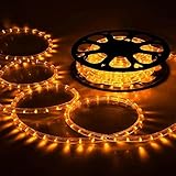 DELight 150ft Saffron Yellow 2 Wire LED Rope Light Outdoor Home Holiday Valentines Party Restaurant 