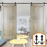 HomeDeco Hardware 引き戸 金具 室内ドア 吊り金具 扉レール 8 FT (2.44メートル) ダブルドア