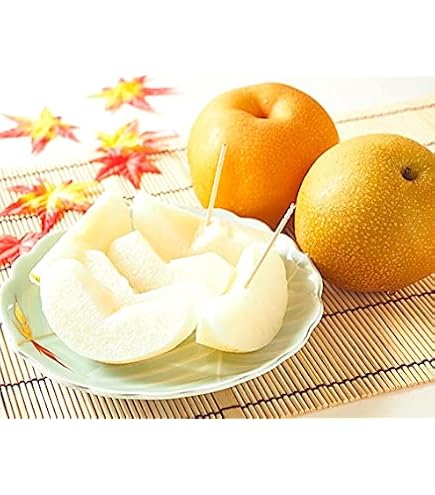 Amazon.co.jp: 千葉梨 幸水 (こうすい) 約10kg 7～14玉 大玉限定 訳