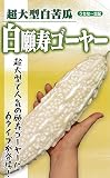 フタバ種苗 【うちな~交配】 白願寿ゴーヤー (苦瓜) 種・小袋詰(10粒)