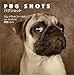Pug Shots パグショット Pug Shots パグショット