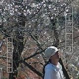 �����߂̂�����