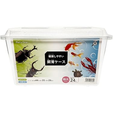Amazon.co.jp ほしい物ランキング: 昆虫用テラリウム・アクセサリー で