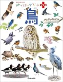 鳥: まどあきしかけ (はっけんずかんプラス)
