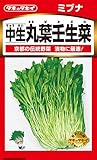 タキイ種苗 みぶな 中生丸葉壬生菜