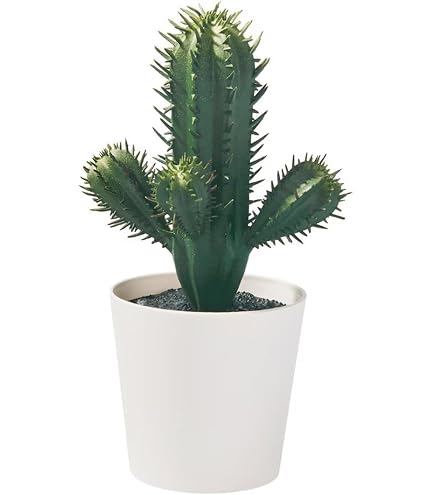 Amazon｜IKEA/イケア FEJKA/フェイカ：人工観葉植物 鉢カバー付き12 cm