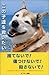 この子達を救いたい この子達を救いたい