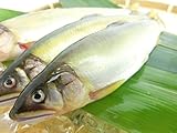 冷凍鮎 あゆ ラウンド 1kg まるごと一尾をそのまま瞬間冷凍